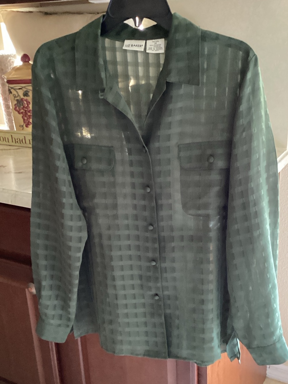 Liz Baker Sheer Dark Green Windowpane Button-Front Blouse